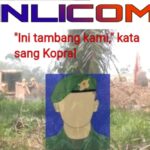 Panglima TNI