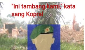 Panglima TNI