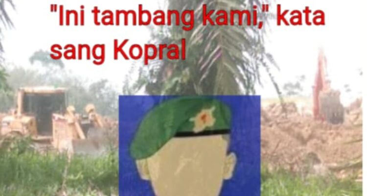Panglima TNI