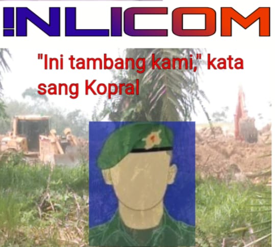 Panglima TNI
